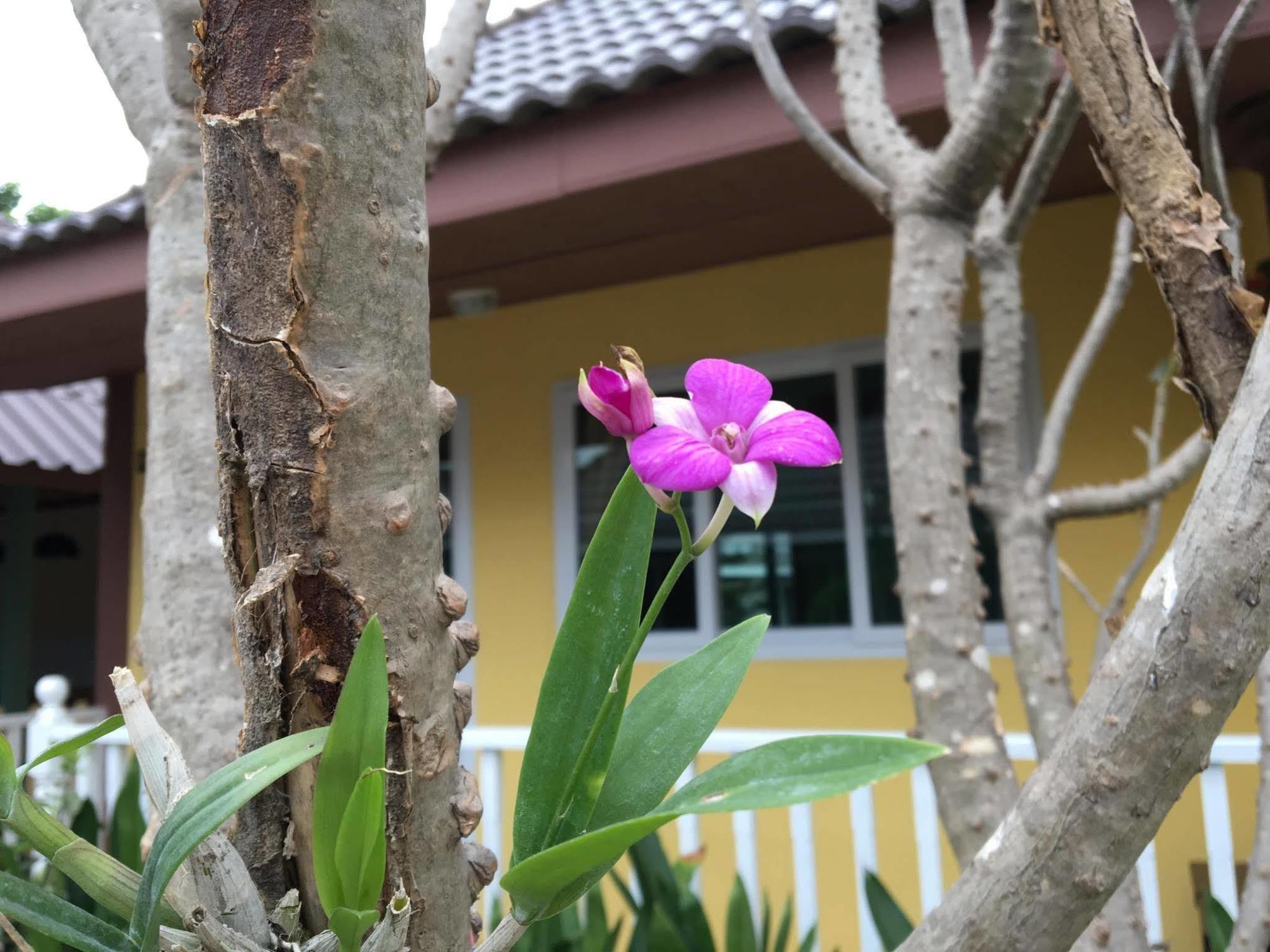 Baan Penny Hotel Phranakhonszi Ajutthaja Kültér fotó